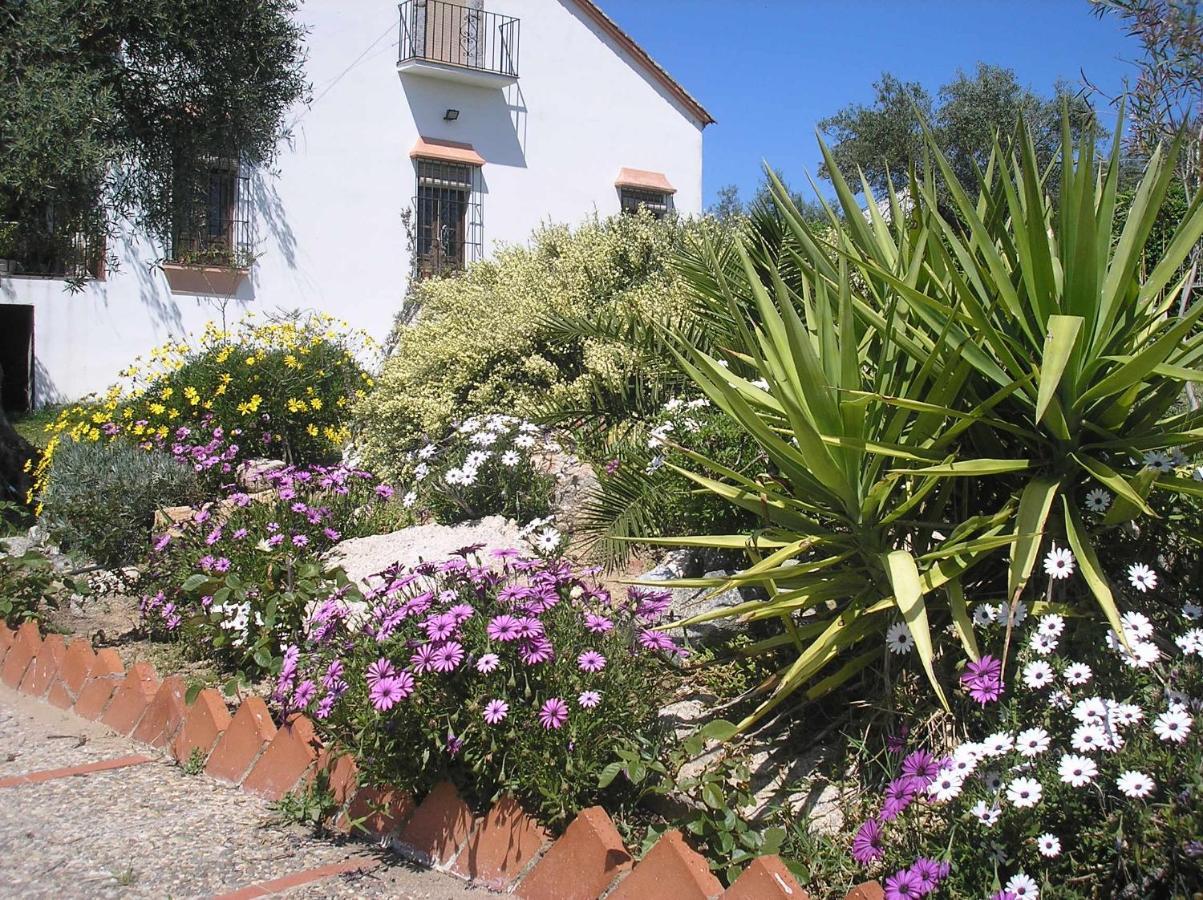 Casa Rural "El Carrasca" El Carrascalejo Exterior foto